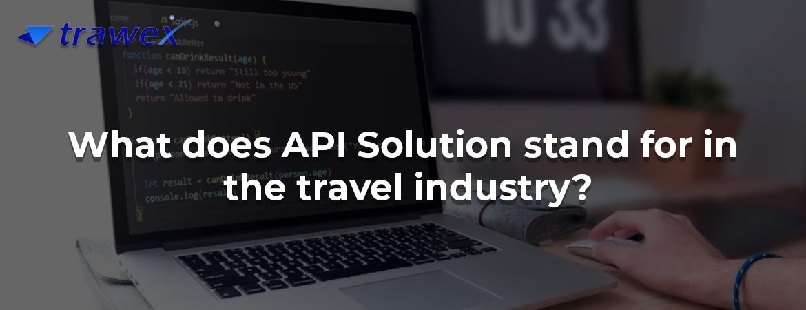 What does API Solution stand for in the travel industry?