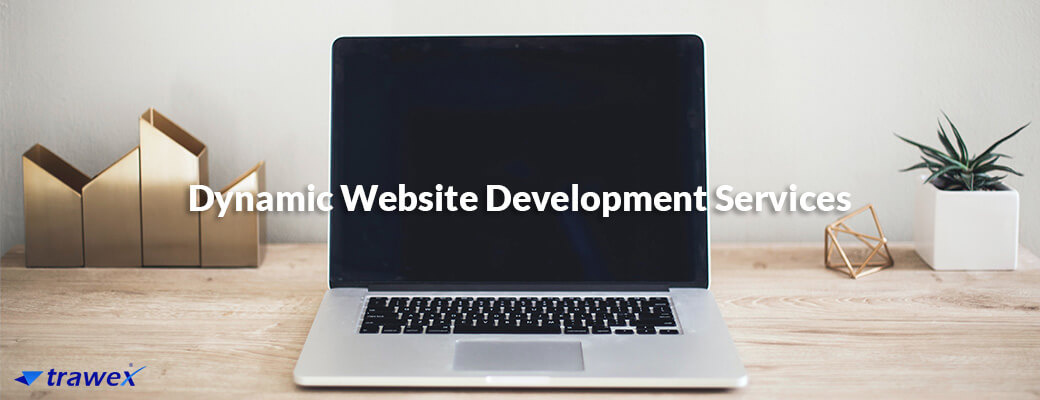 dynamic-website-development