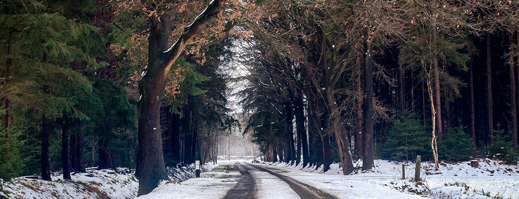 online-travel-booking-engine online-travel-booking-engine