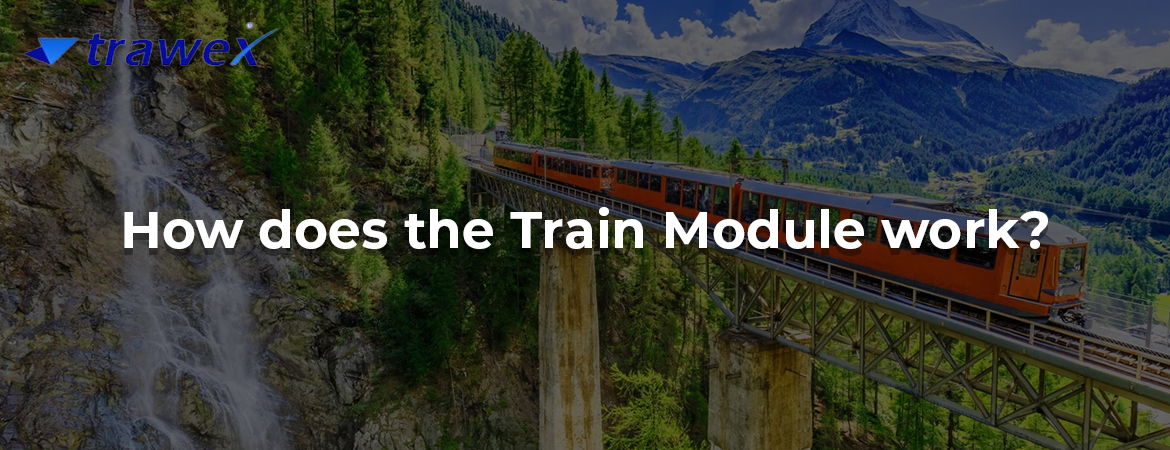 How does the Train Module work?