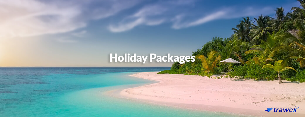 why-choose-travel-technology-solution